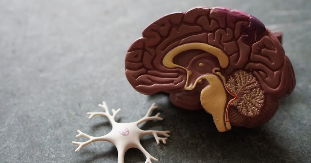 Cuidado em saúde mental: Avaliação Neuropsicológica: O que é e quem deve fazer? - Clippsin